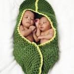 Twin Peapod cocoon